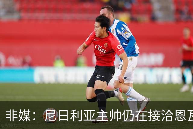 非媒：尼日利亚主帅仍在接洽恩瓦内里，希望他代表尼日利亚出战